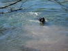 DSC00193