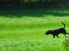 DSC_1205